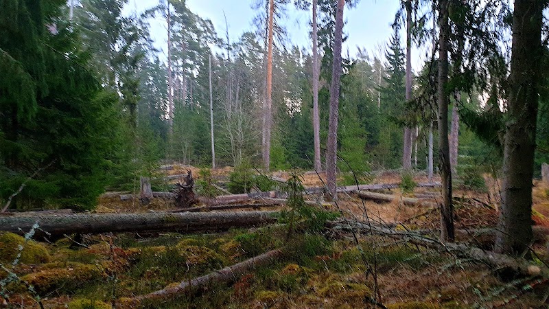 Kottorps Naturreservat
